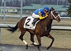 Solitary Ranger is in control in the John Battaglia Memorial Stakes at Turfway Park.