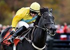 Demonstrative and Robert Walsh take the Grand National at Far Hills.<br><a target="blank" href="http://photos.bloodhorse.com/AtTheRaces-1/At-the-Races-2014/i-ktBJwvB">Order This Photo</a>