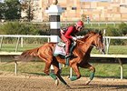 Chrome's Influence Evident at Barretts Sale Chrome's Influence Evident at Barretts Sale