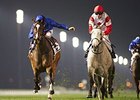 Certify won the Cape Verdi at Meyden Racecourse on Jan. 30.