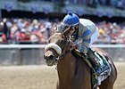 Sweet Reason Set for BC Filly and Mare Sprint Sweet Reason Set for BC Filly and Mare Sprint