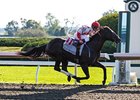 Sum of the Parts is the 3-1 favorite in the Twin Spires Turf Sprint Stakes.<br><a target="blank" href="http://photos.bloodhorse.com/AtTheRaces-1/at-the-races-2013/27257665_QgCqdh#!i=2810624366&k=nTmj3Cb">Order This Photo</a>