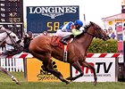 Ageless won the 2014 The Very One.