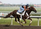 Palm Meadows to Undergo Resurfacing Palm Meadows to Undergo Resurfacing