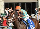 My Conquestadory <br><a target="blank" href="http://photos.bloodhorse.com/AtTheRaces-1/at-the-races-2013/27257665_QgCqdh#!i=2814748240&k=nS6C2Vq">Order This Photo</a>