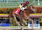 Sweet N Discreet won the 2014 Florida Sunshine Millions Distaff Stakes.<br><a target="blank" href="http://photos.bloodhorse.com/AtTheRaces-1/At-the-Races-2014/35724761_2vdnSX#!i=3029334962&k=jL5nrcm">Order This Photo</a>