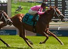 Kaigun wins the Play the King Stakes.