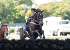 Demonstrative won the 2014 Steeplechase Eclipse Award.<br><a target="blank" href="http://photos.bloodhorse.com/AtTheRaces-1/At-the-Races-2014/i-rPxNMmx">Order This Photo</a>