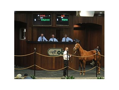 Back to Class sold for $85,000 to top the consignor preferred session of Ocala Breeders' Sales Co.'s winter mixed sale Jan. 22.