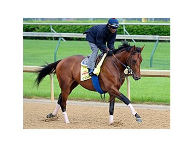 Candy Boy
<br><a target="blank" href="http://photos.bloodhorse.com/TripleCrown/2014-Triple-Crown/Kentucky-Derby-Workouts/i-zdZbHM2">Order This Photo</a>