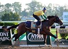 Tonalist jogs at Belmont Park May 25.
<br><a target="blank" href="http://photos.bloodhorse.com/TripleCrown/2014-Triple-Crown/Belmont-Stakes-146/i-fLH75dN">Order This Photo</a>