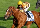 Wise Dan's commanding win in the Oct. 6 Shadwell Turf Mile.