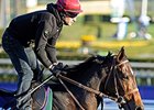 Mexikoma<br><a target="blank" href="http://photos.bloodhorse.com/BreedersCup/2013-Breeders-Cup/Breeders-Cup/32986083_QMHXWK#!i=2871567258&k=HbbWR6r">Order This Photo</a>