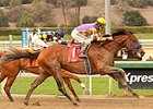 Candy Boy gets up late to win the Robert B. Lewis Stakes.