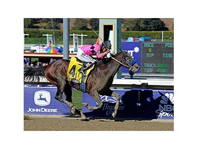 New Year's Day<br><a target="blank" href="http://photos.bloodhorse.com/BreedersCup/2013-Breeders-Cup/Juvenile/33149927_s6DS8h#!i=2888277853&k=46PNPMC">Order This Photo</a>