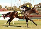 Global View sails to victory in the Generous.