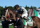 Will Take Charge<br><a target="blank" href="http://photos.bloodhorse.com/AtTheRaces-1/at-the-races-2013/27257665_QgCqdh#!i=2722899189&k=Z4sfgms">Order This Photo</a>