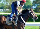 Ride on Curlin <br><a target="blank" href="http://photos.bloodhorse.com/TripleCrown/2014-Triple-Crown/Belmont-Stakes-146/i-vmG587m">Order This Photo</a>