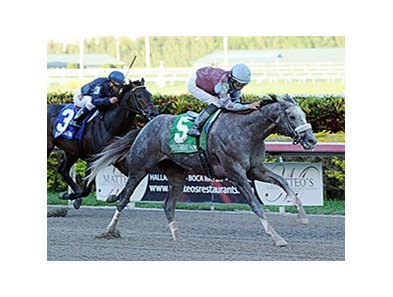 Spot leaves No Nay Never behind to win the Swale Stakes.<br><a target="blank" href="http://photos.bloodhorse.com/AtTheRaces-1/At-the-Races-2014/35724761_2vdnSX#!i=3100389908&k=GSRjjtD">Order This Photo</a>