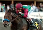 Tamarando is 3-1 on the morning line for the El Camino Real Derby.