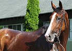 Xcellence
<br><a target="blank" href="http://photos.bloodhorse.com/AtTheRaces-1/At-the-Races-2014/i-hgGN66D">Order This Photo</a>