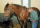 Doug Byars, D.V.M.