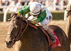 Wild Dude faces 7 in the Potrero Grande Stakes at Santa Anita.