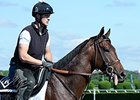 Medal Count was the last Belmont Stakes participant to arrive in New York.<br><a target="blank" href="http://photos.bloodhorse.com/TripleCrown/2014-Triple-Crown/Belmont-Stakes-146/i-5SgRfFp">Order This Photo</a>