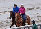 Samraat Races History in Belmont Bid for Sire Samraat Races History in Belmont Bid for Sire