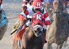 Into Mischief Confirms He's a Sire to Watch Into Mischief Confirms He's a Sire to Watch