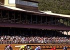 Ruidoso EHV-1 Positive Leads to Quarantine Ruidoso EHV-1 Positive Leads to Quarantine