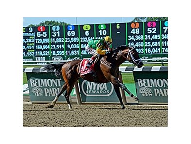 Palace Malice in the Met Mile.