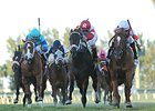 Storming Inti (right) won the Kitten's Joy Stakes by a head on Jan 19.<br><a target="blank" href="http://photos.bloodhorse.com/AtTheRaces-1/At-the-Races-2014/35724761_2vdnSX#!i=3031416723&k=vnLnSxg">Order This Photo</a>