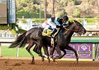 Shared Belief wins the Awesome Again Stakes.