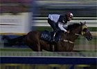 International Interview - Mick Price International Interview - Mick Price