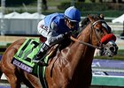 Goldencents<br><a target="blank" href="http://photos.bloodhorse.com/BreedersCup/2013-Breeders-Cup/Dirt-Mile/33149801_zx584H#!i=2876858710&k=cF9QJ3N">Order This Photo</a>