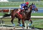 Social Inclusion will make his highly-anticipated 4-year-old debut April 26.<br><a target="blank" href="http://photos.bloodhorse.com/AtTheRaces-1/At-the-Races-2014/35724761_2vdnSX#!i=3119451641&k=9LvxjDB">Order This Photo</a>