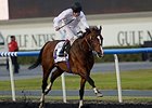 Toast of New York rolls to victory in the UAE Derby.<br><a target="blank" href="http://photos.bloodhorse.com/AtTheRaces-1/Dubai-2014/38085033_tQgx4h#!i=3148677182&k=DzqBPC4">Order This Photo</a>