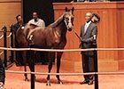 Fasig Tipton October Sale 2013 Wrap-Up Fasig Tipton October Sale 2013 Wrap-Up