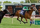 The Pizza Man leads them home in the American St. Leger.<br><a target="blank" href="http://photos.bloodhorse.com/AtTheRaces-1/At-the-Races-2014/i-x9GXqNX">Order This Photo</a>