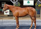 Hip No. 450, a chestnut filly by Speightstown, was one of two 2yos that brought $425,000.