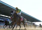 Palace Malice
<br><a target="blank" href="http://photos.bloodhorse.com/AtTheRaces-1/At-the-Races-2014/i-HHfXMph">Order This Photo</a>