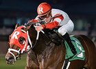 Admiral Kitten won the John B. Connally Turf Cup on January 25.