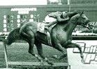 Bull Inthe Heather winning the 1993 Florida Derby (gr. I)