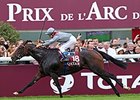 Treve
<br><a target="blank" href="http://photos.bloodhorse.com/AtTheRaces-1/At-the-races-2013/i-5T4MFdj">Order This Photo</a>