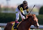 Judy the Beauty delivers victory in the Madison Stakes.<br><a target="blank" href="http://photos.bloodhorse.com/AtTheRaces-1/At-the-Races-2014/35724761_2vdnSX#!i=3175404253&k=pKm4jKr">Order This Photo</a>