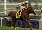 Wise Dan