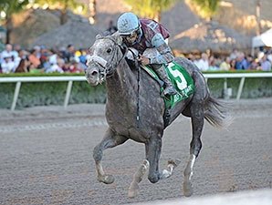 Zito May Take Shot With Spot in Florida Derby Zito May Take Shot With Spot in Florida Derby