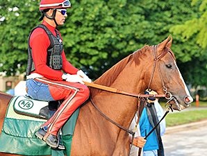 California Chrome Takes First Spin at Belmont California Chrome Takes First Spin at Belmont