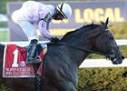 Ron the Greek dominates the Jockey Club Gold Cup.<br><a target="blank" href="http://photos.bloodhorse.com/AtTheRaces-1/at-the-races-2013/27257665_QgCqdh#!i=2796604523&k=NGMjwSw">Order This Photo</a>